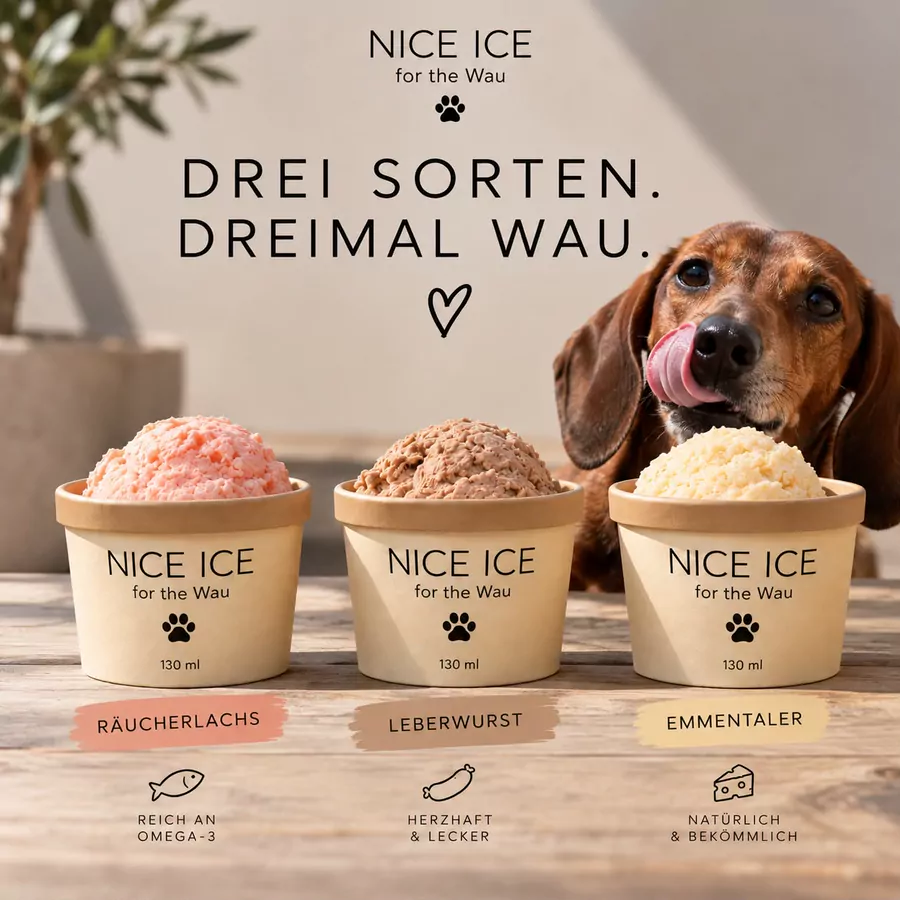 Drei Nice Ice Becher mit Räucherlachs, Leberwurst und Emmentaler, dahinter ein Dackel, der sich die Schnauze leckt